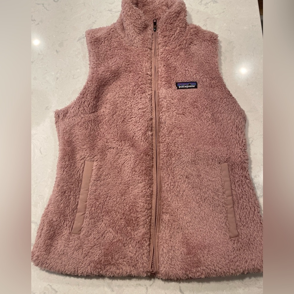 Patagonia vest
